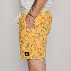 SPARKS PAISLEY EDEN BOARDWALK TUMERIC